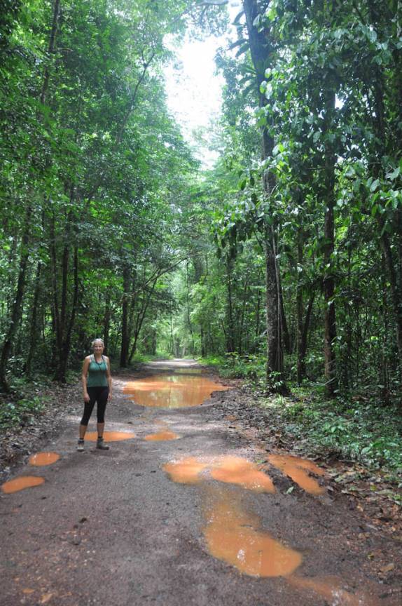Estradas alagadas na Reserva Natural de Brownsberg, no Suriname